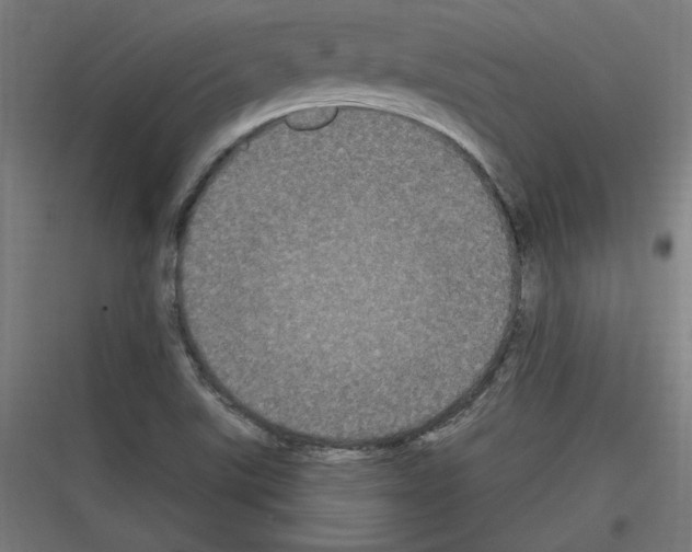 X0000116781507201001281203