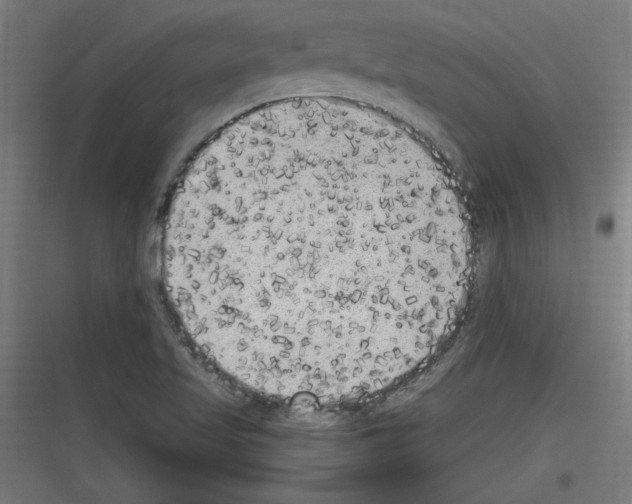 X0000116781509201001281203