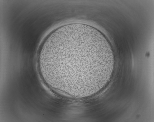 X0000116781511201001281203