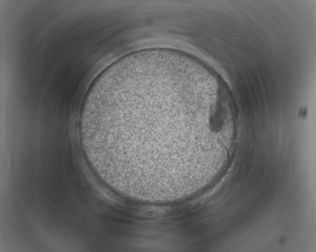 X0000116781513201001281203