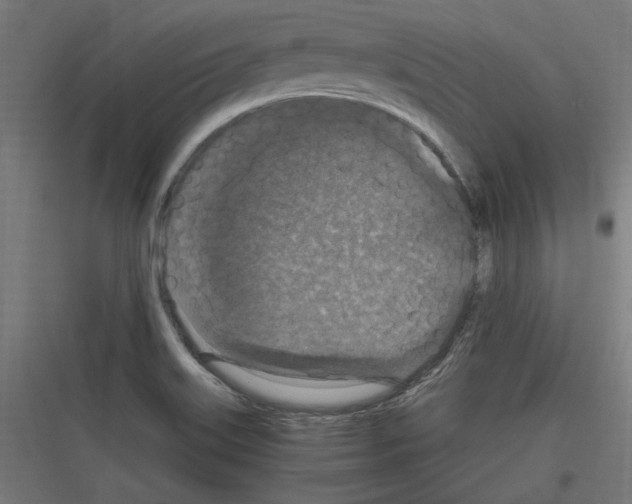 X0000116781515201001281204