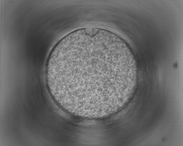 X0000116781517201001281204