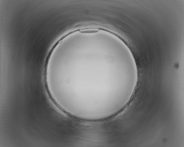 X0000116781518201001281204