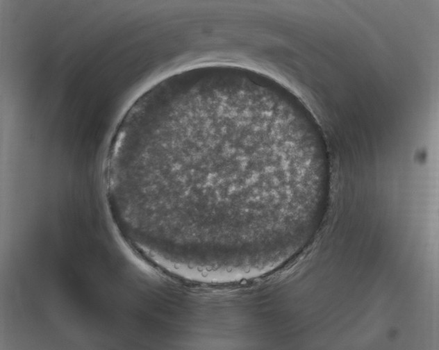 X0000116781519201001281204