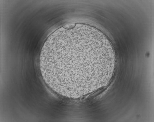 X0000116781521201001281204