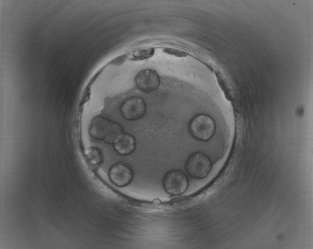 X0000116781522201001281204