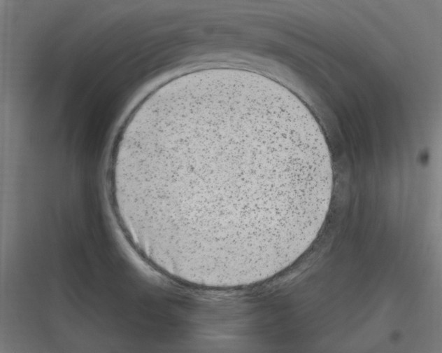 X0000116781523201001281204