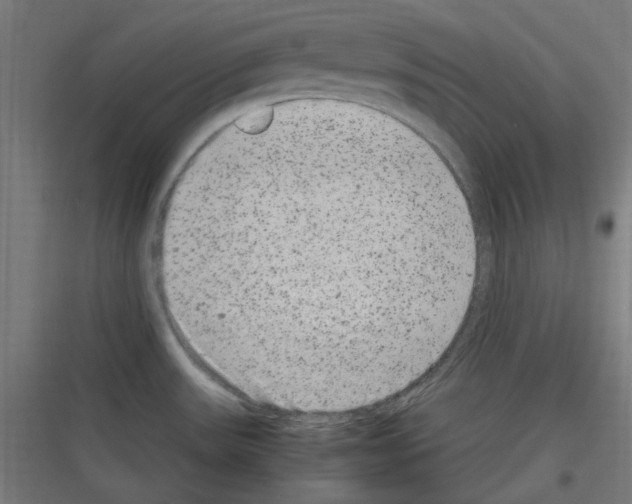 X0000116781531201001281204