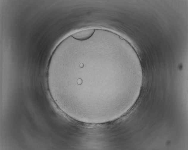 X0000116781534201001281204