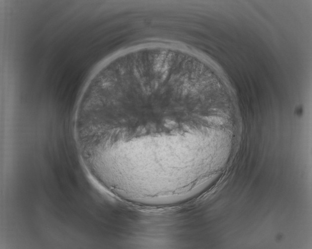 X0000116781535201001281204