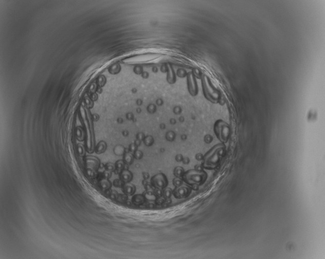 X0000116780001201001281704