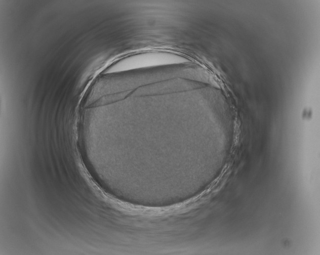 X0000116780002201001281704