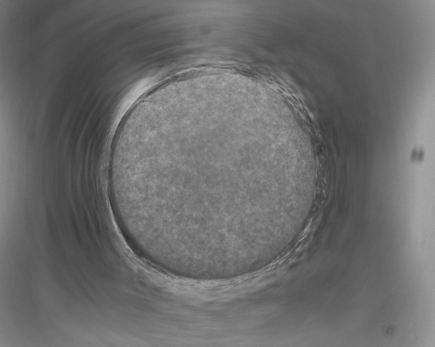 X0000116780003201001281704