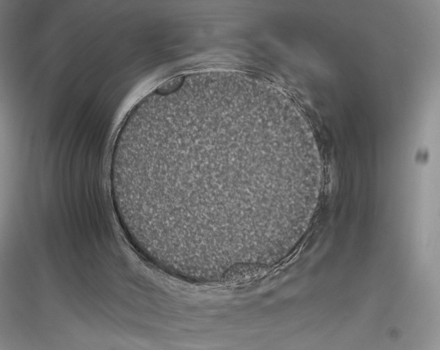 X0000116780004201001281704