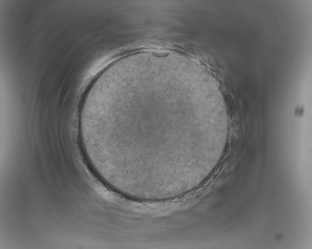 X0000116780005201001281704