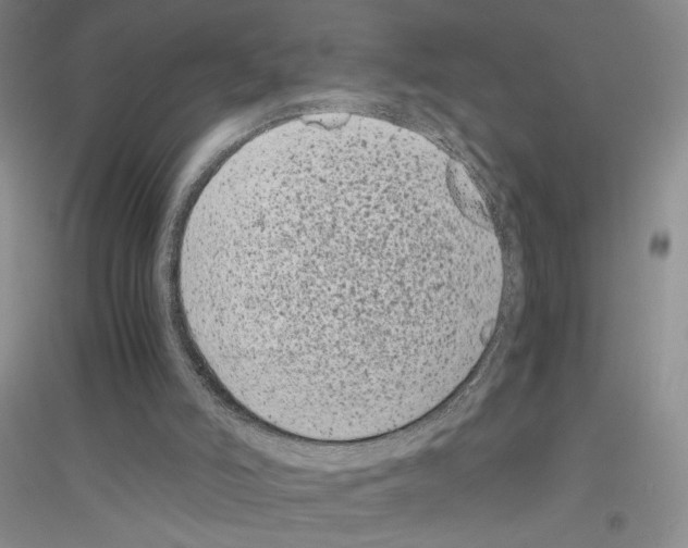 X0000116780006201001281704