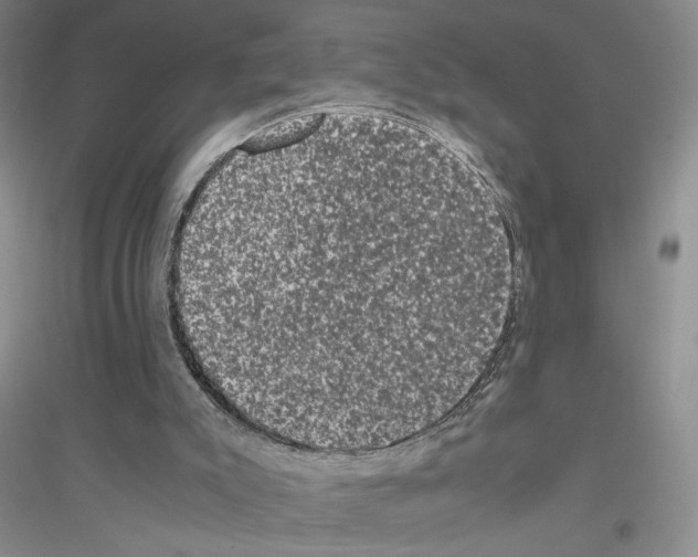 X0000116780007201001281704