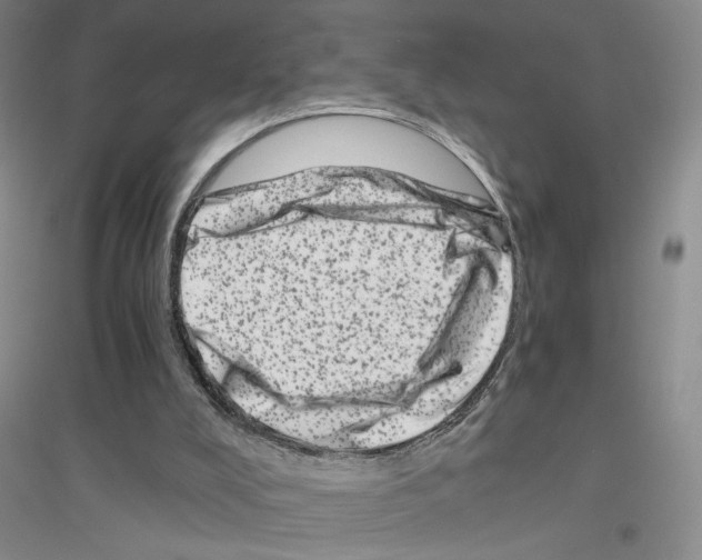 X0000116780008201001281704