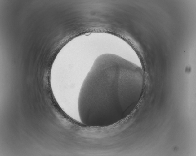 X0000116780009201001281704