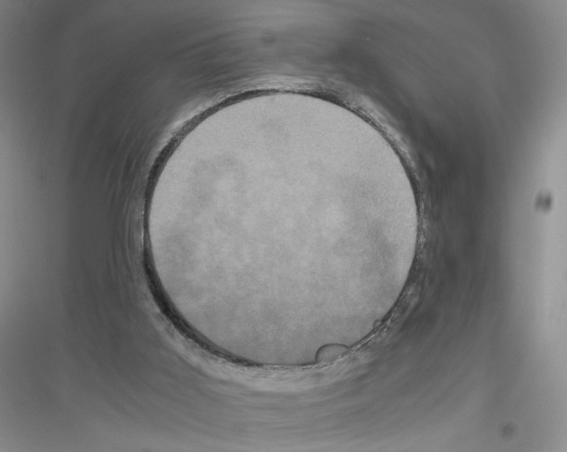 X0000116780011201001281703