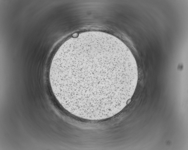 X0000116780012201001281703