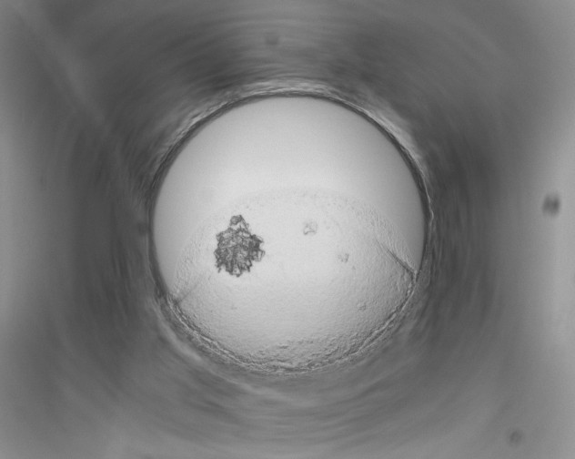 X0000116780013201001281703