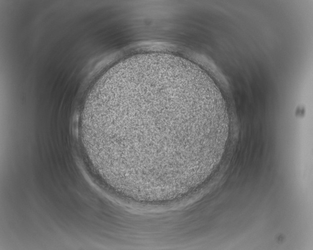 X0000116780014201001281703