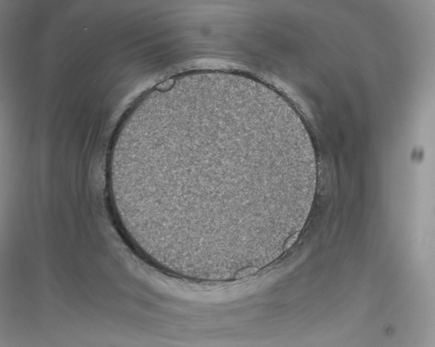 X0000116780015201001281703