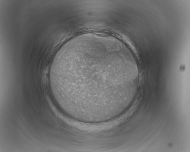 X0000116780018201001281703