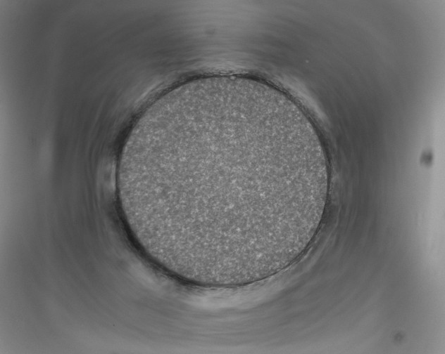 X0000116780021201001281703