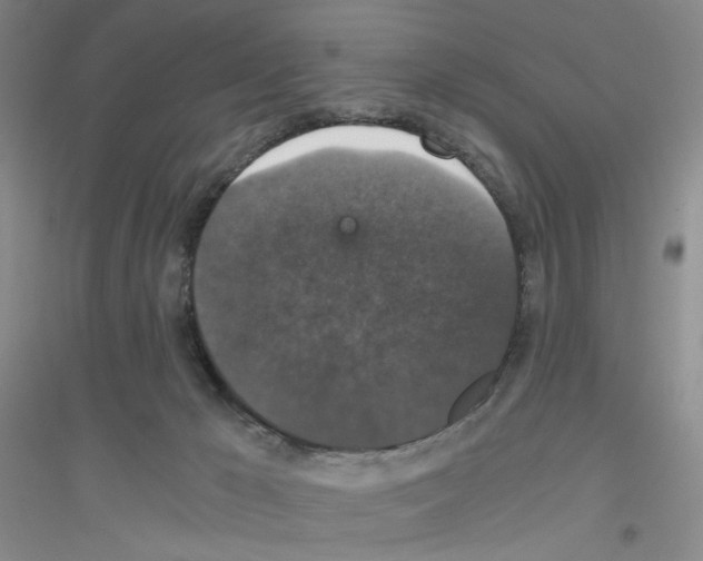 X0000116780029201001281703