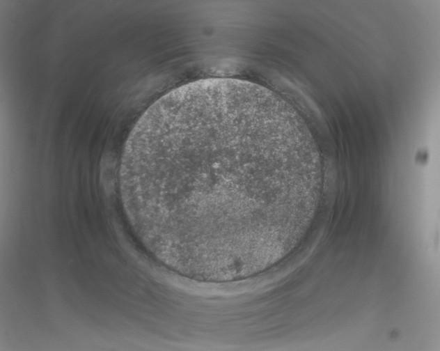 X0000116780030201001281703