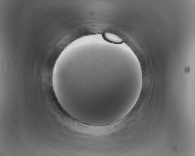 X0000116780031201001281703