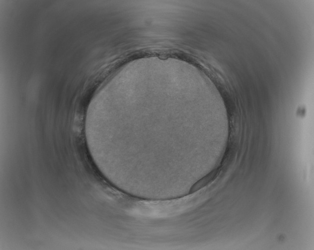 X0000116780033201001281703