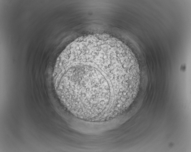 X0000116780034201001281703