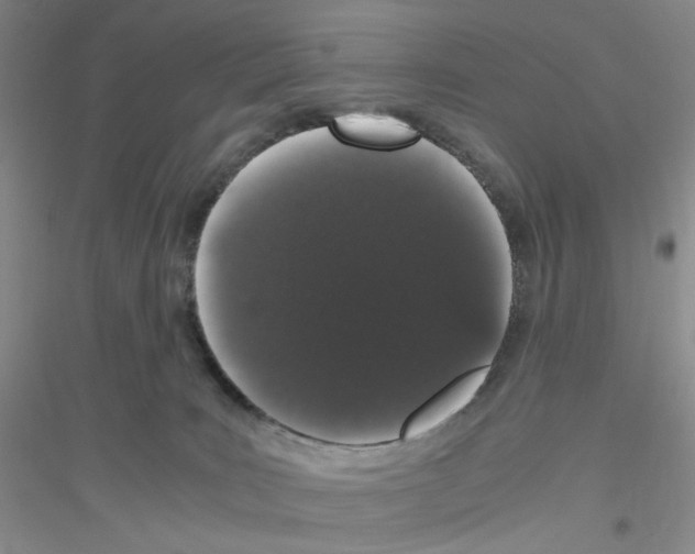 X0000116780035201001281703