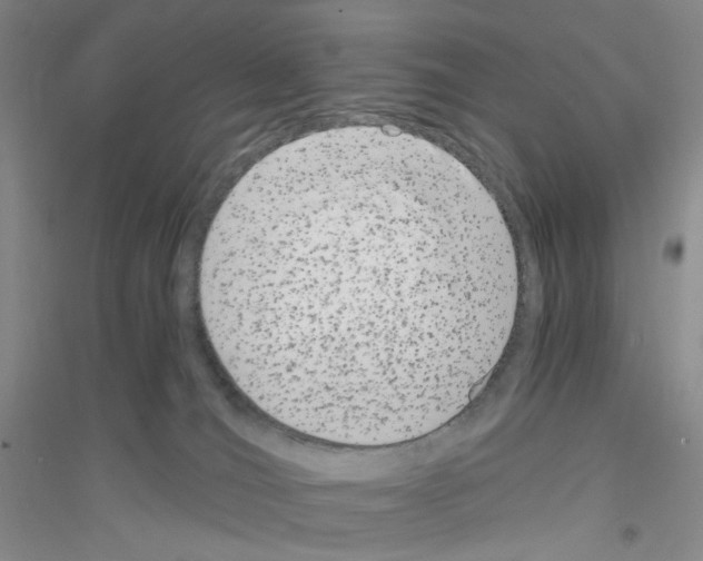 X0000116780036201001281703