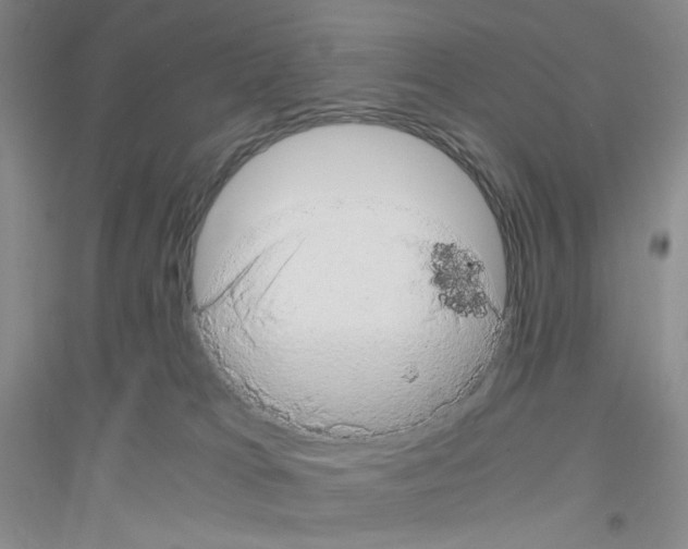 X0000116780037201001281703