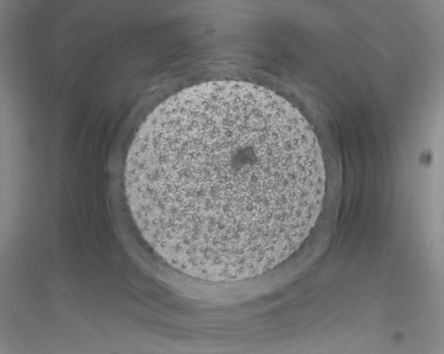 X0000116780038201001281703