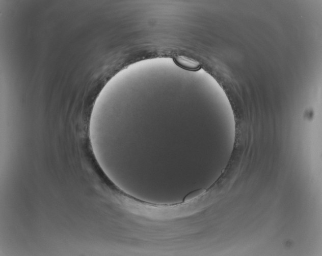 X0000116780039201001281703