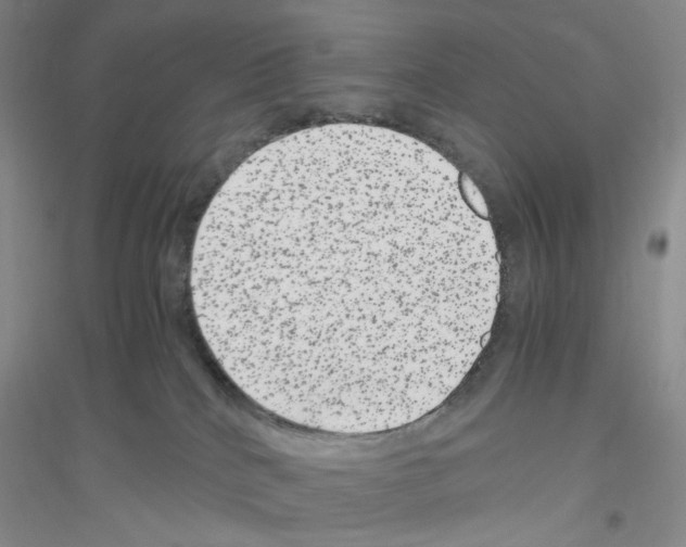 X0000116780040201001281703