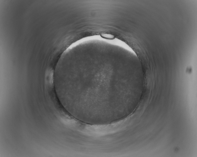 X0000116780041201001281703