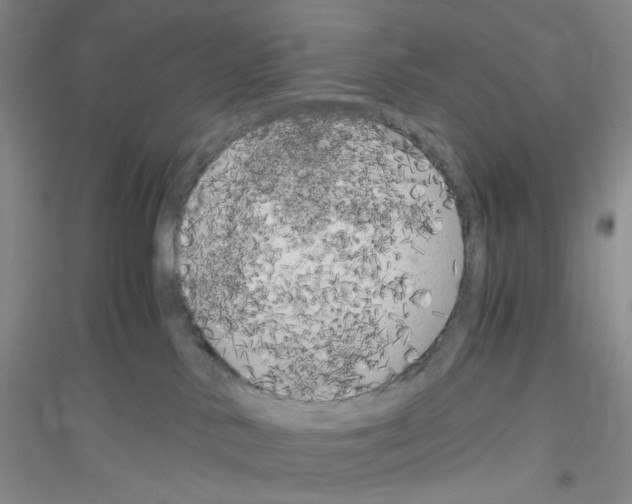 X0000116780042201001281703