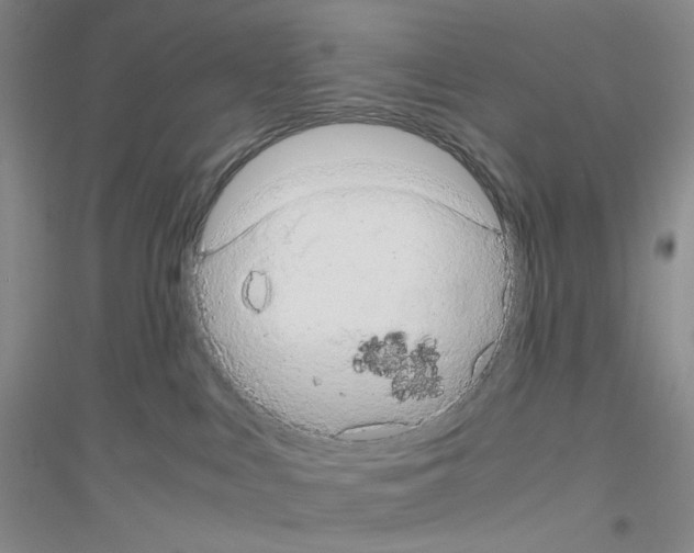 X0000116780043201001281703