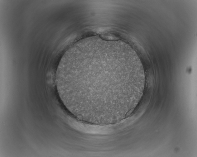 X0000116780044201001281703