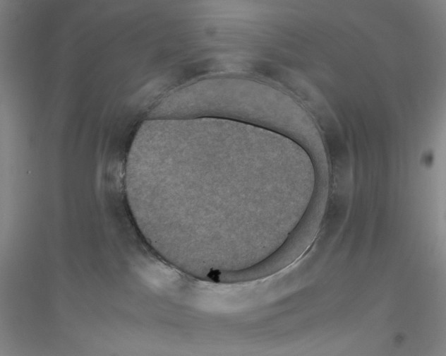 X0000116780045201001281703