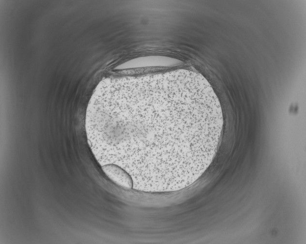 X0000116780048201001281703