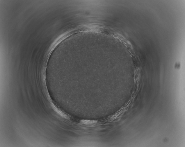 X0000116780051201001281702