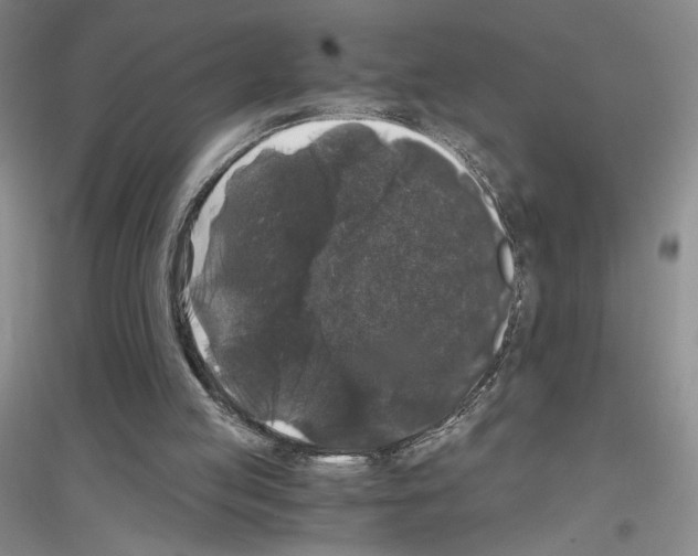 X0000116780053201001281702