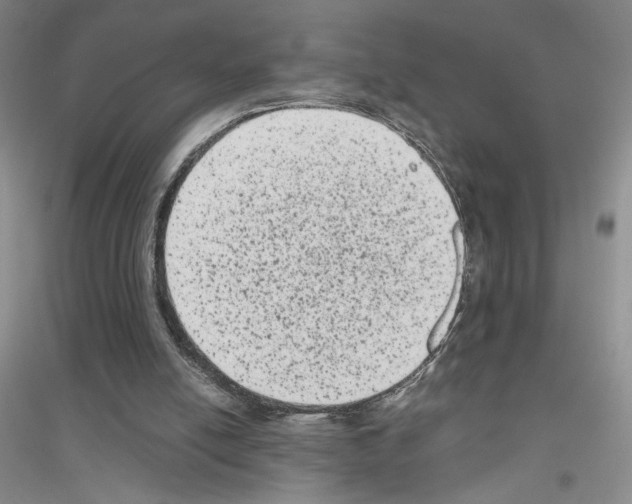 X0000116780054201001281702